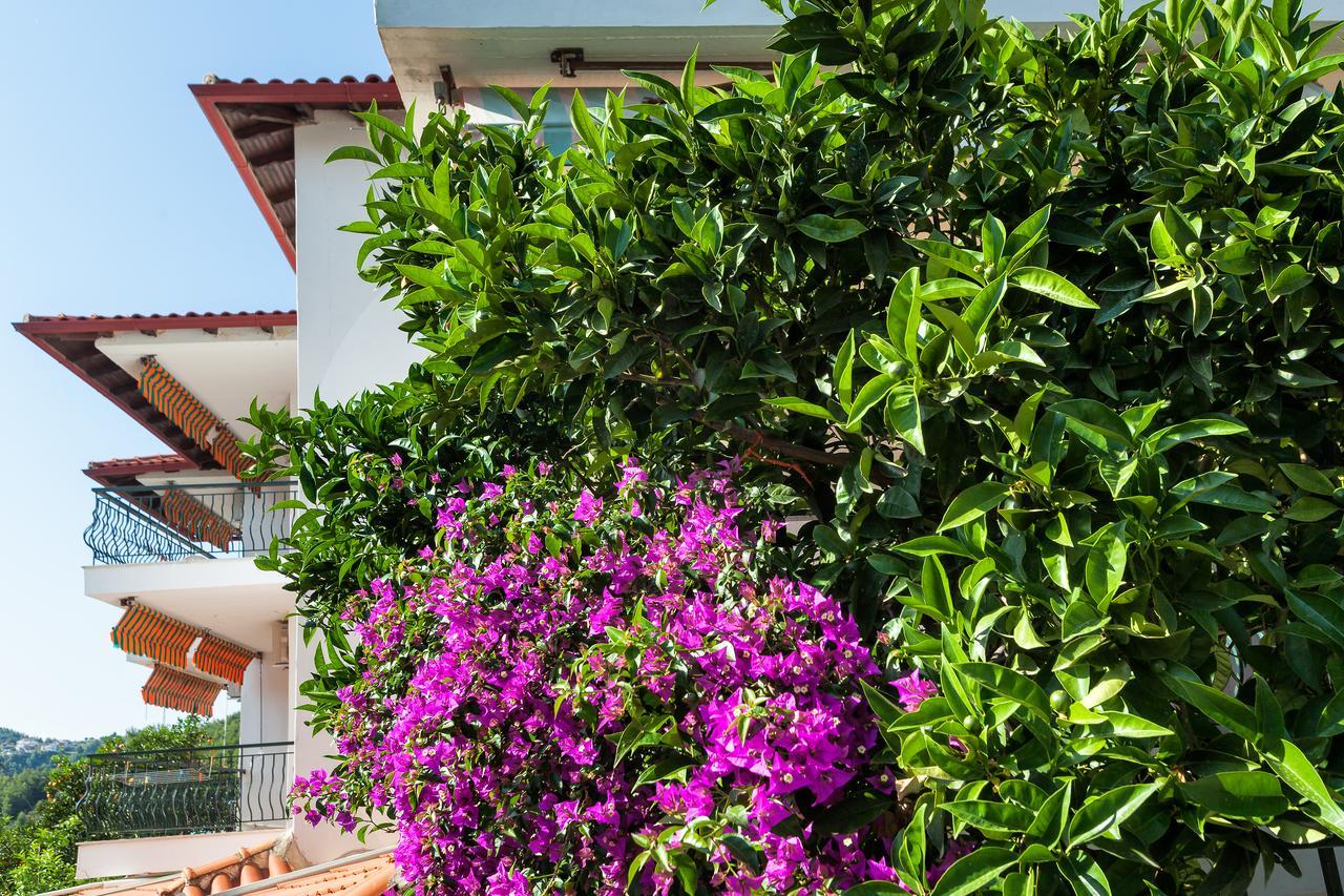 Xenios Loutra Village Mary'S House Агия-Параскеви Экстерьер фото